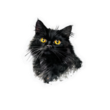 Black Longhair Cat Vinyl Sticker –1.82" x 2"