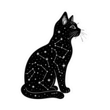 Celestial Black Cat Vinyl Sticker- 2.29" x 3"