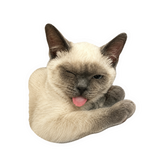Sassy Siamese Cat Sticker- 2.71" x 3"