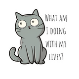 “What Am I Doing With My Life?” Cat Vinyl Decal- 3" x 2.89"