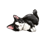Cute Tuxedo Kitten Vinyl Sticker 3" x 2.15"